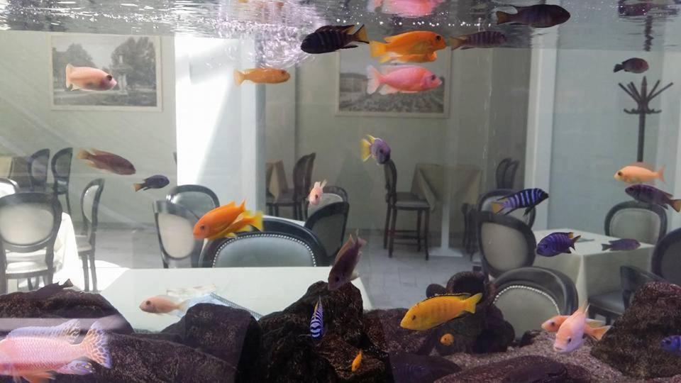Apartment Magnolija - Free Parking Karlovac Dış mekan fotoğraf