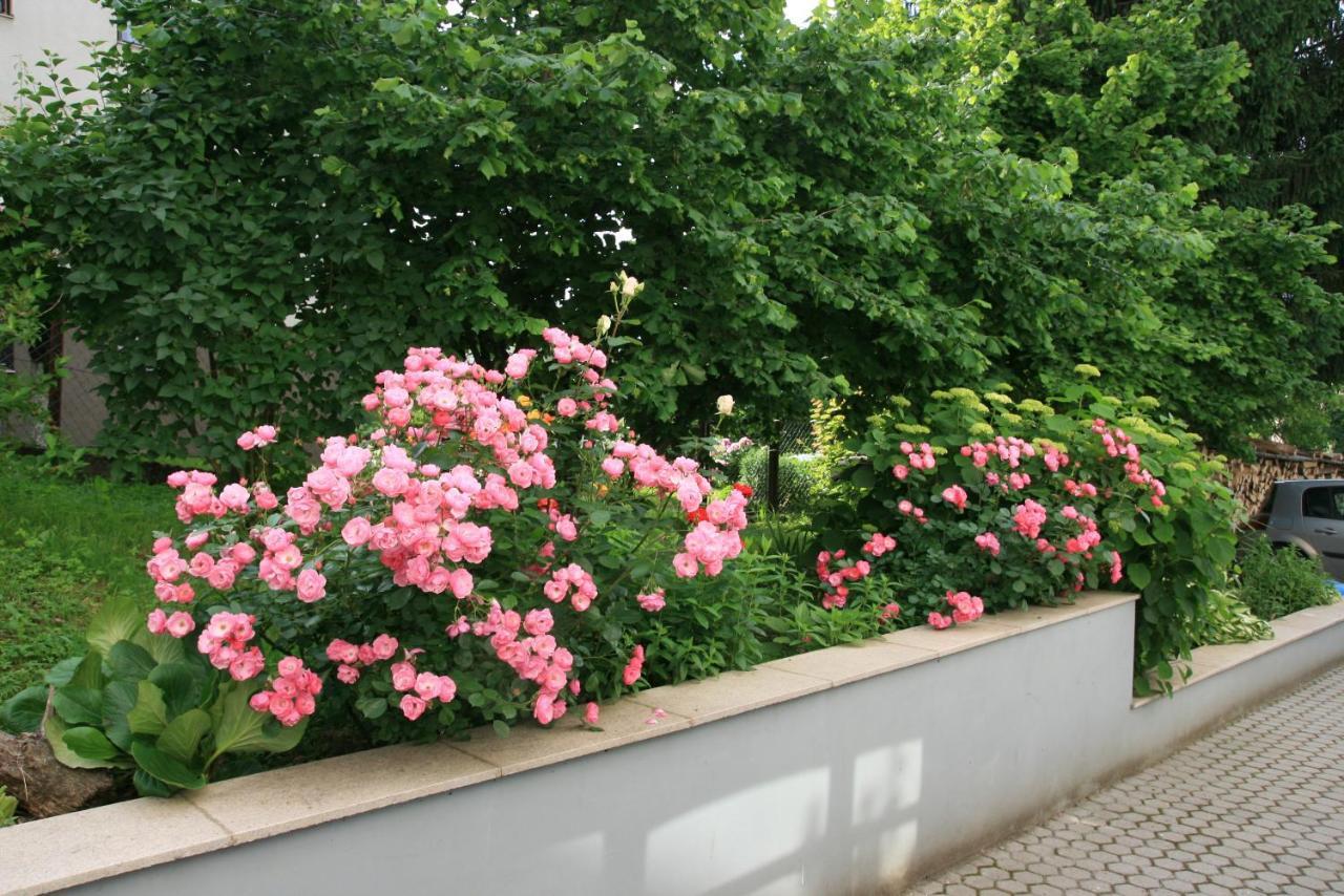 Apartment Magnolija - Free Parking Karlovac Dış mekan fotoğraf